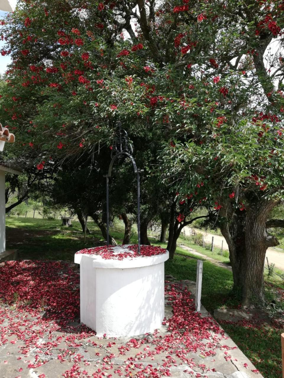 La Calaguala Ξενοδοχείο Πούντα ντελ Έστε Εξωτερικό φωτογραφία